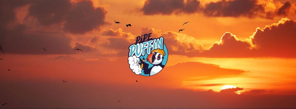 Meet the Pipe Puffin Team
